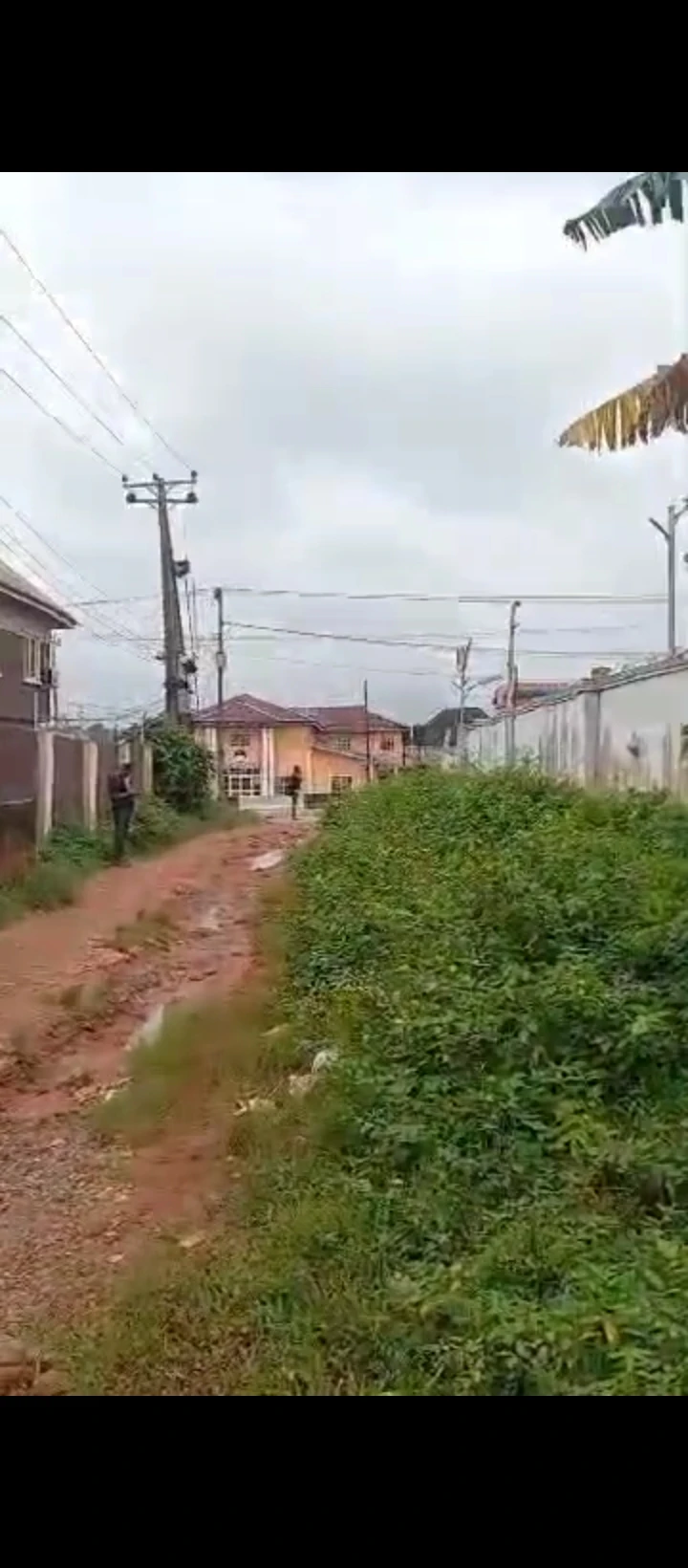 Land for Sale in Ekehuan road, Edo - Image 6