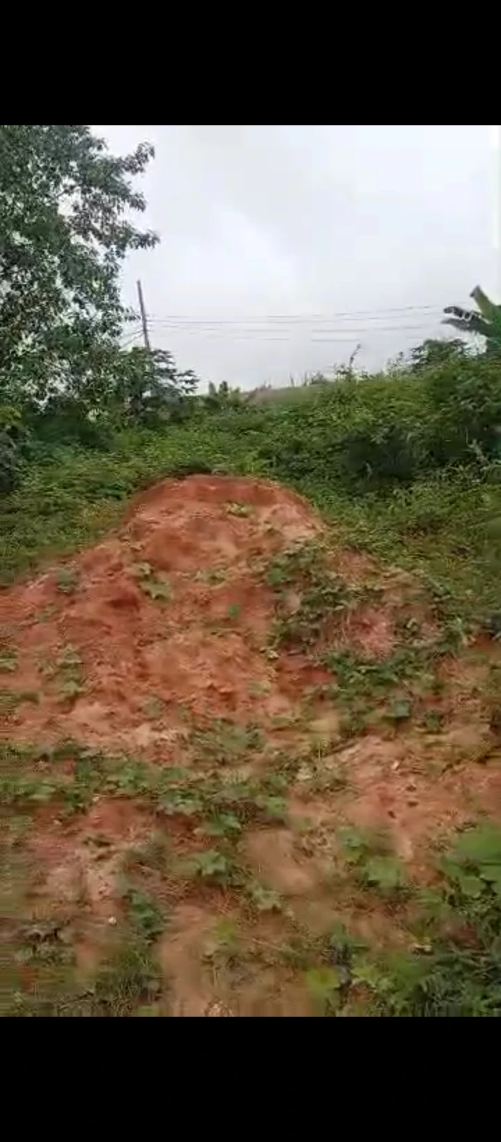 Land for Sale in Ekehuan road, Edo - Image 4