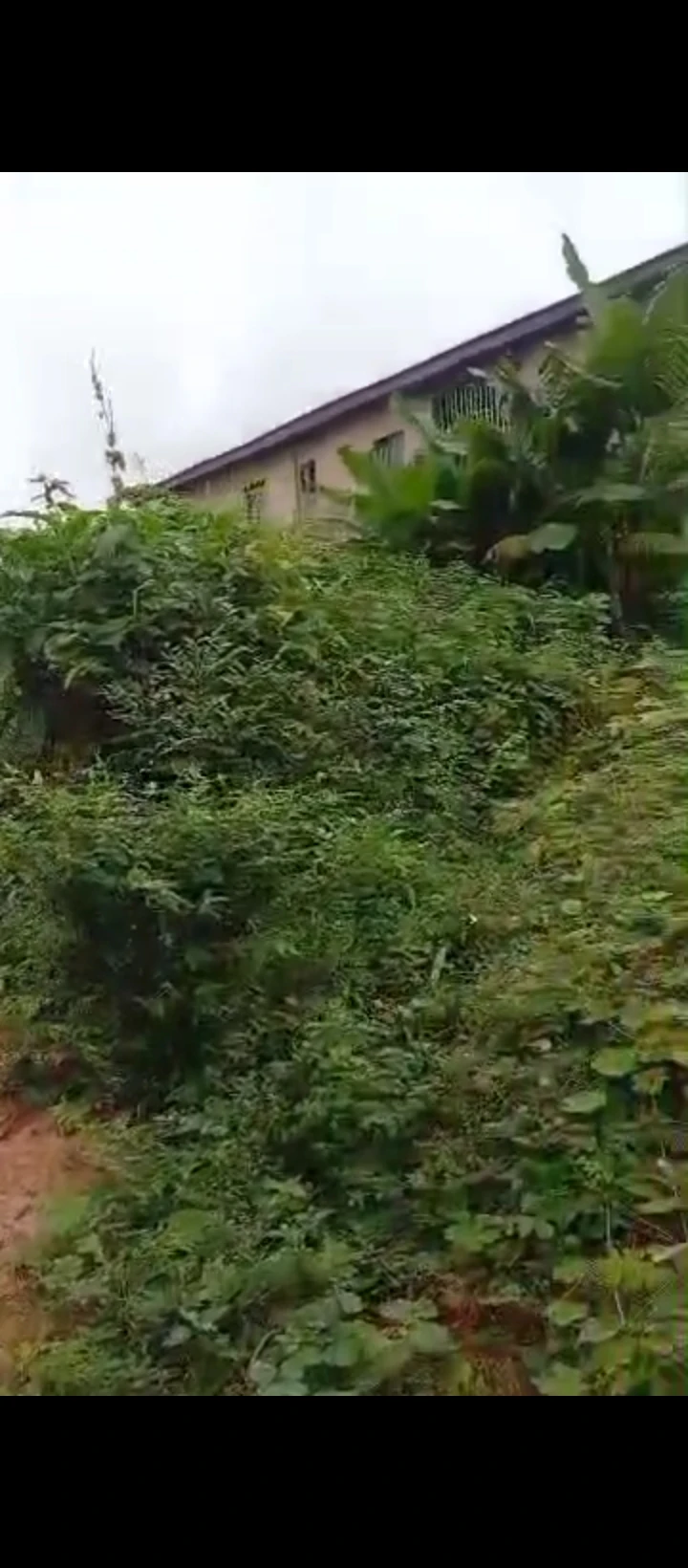 Land for Sale in Ekehuan road, Edo - Image 3
