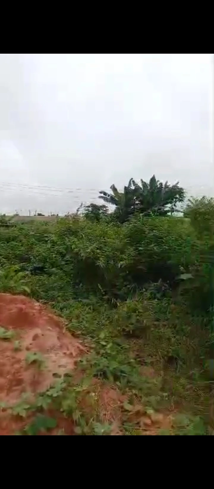 Land for Sale in Ekehuan road, Edo - Image 1
