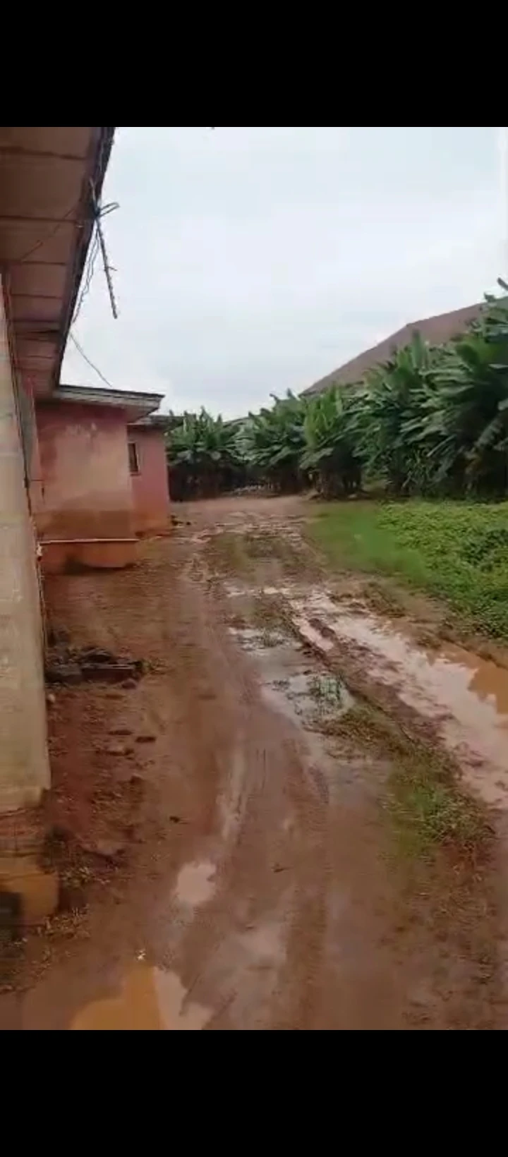 Land for Sale in Ekehuan road, Edo - Image 2