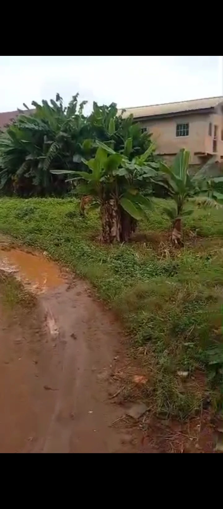 Land for Sale in Ekehuan road, Edo - Image 6