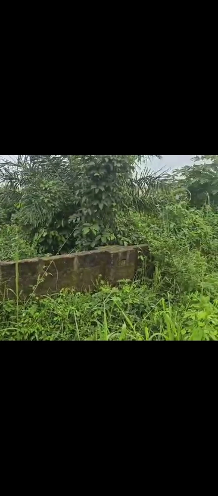 Land for Sale in Benin city, Edo - Image 3