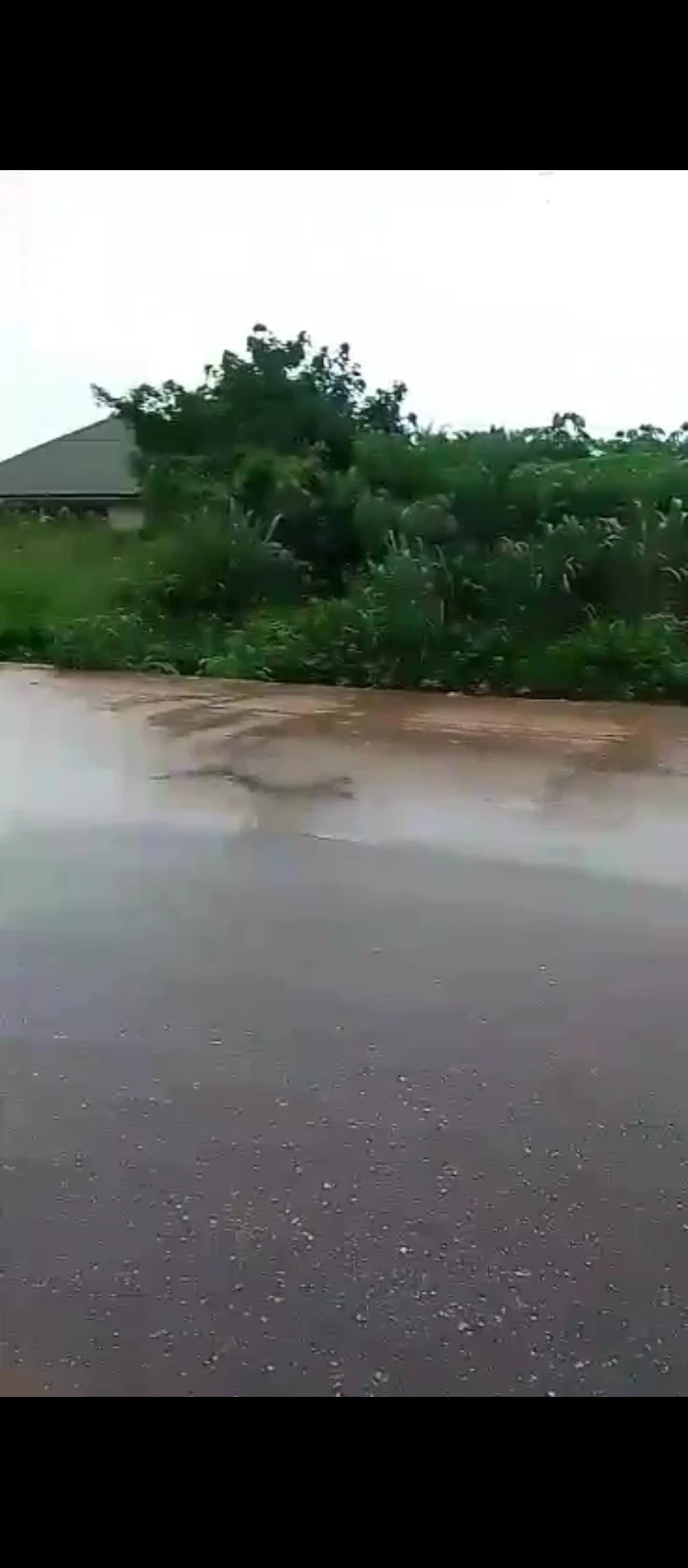 Land for Sale in Okagbare, Edo - Image 3