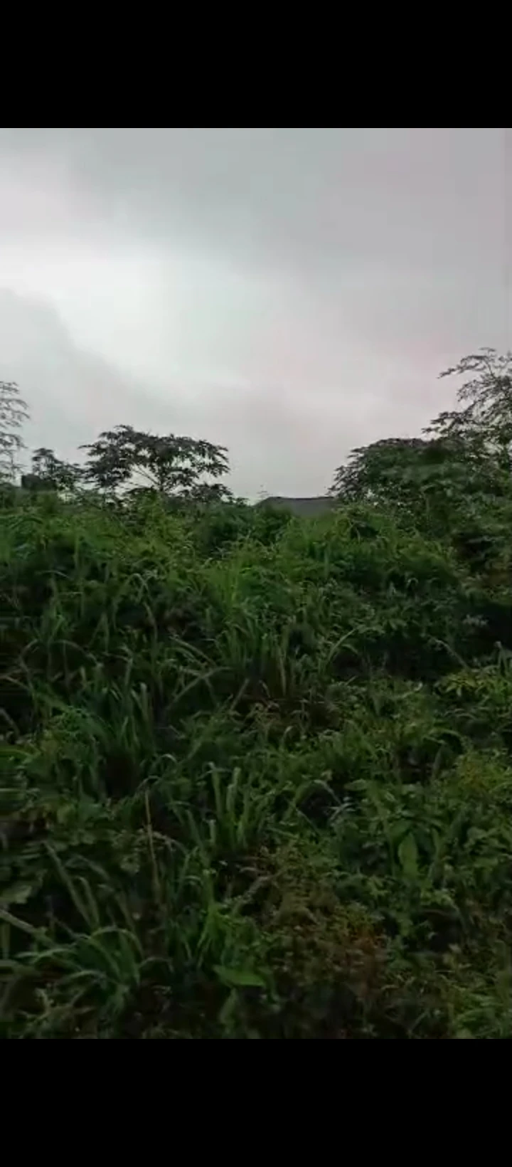 Land for Sale in Ebo airport road, Edo - Image 4