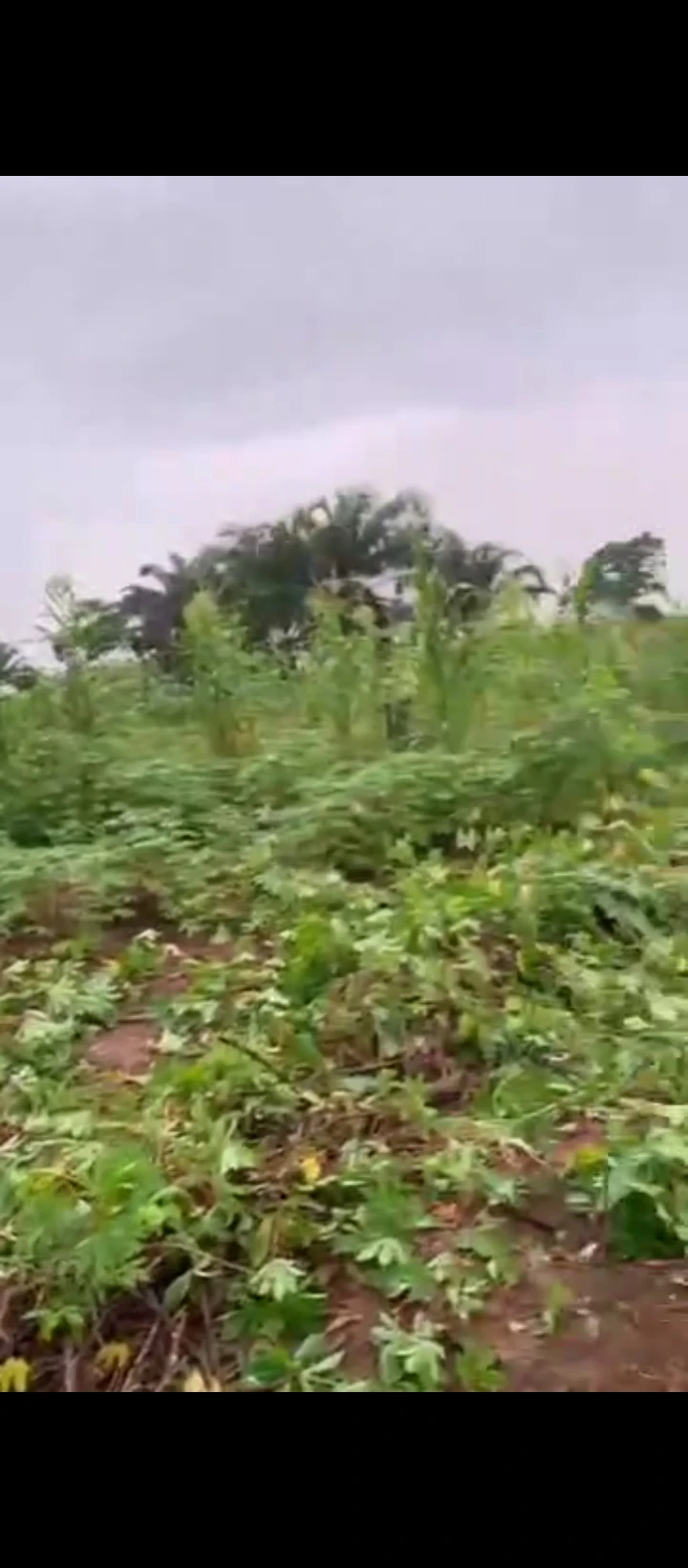 Land for Sale in Obagie, Edo - Image 2