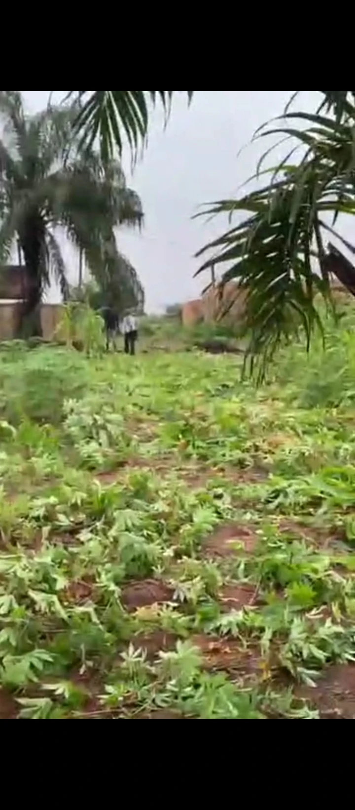 Land for Sale in Obagie, Edo - Image 3