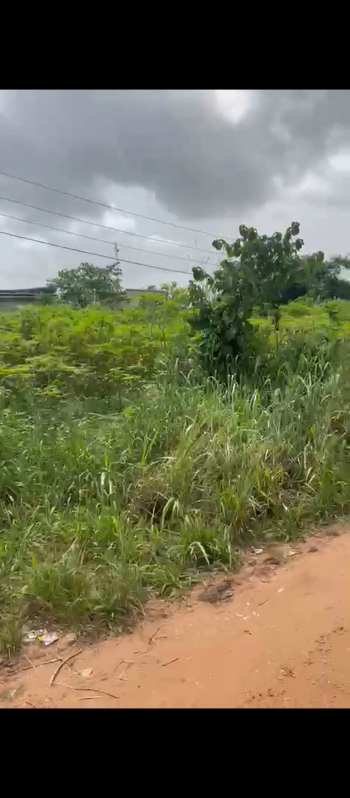 Land for Sale in Rubber research sapele road, Edo - Image 4