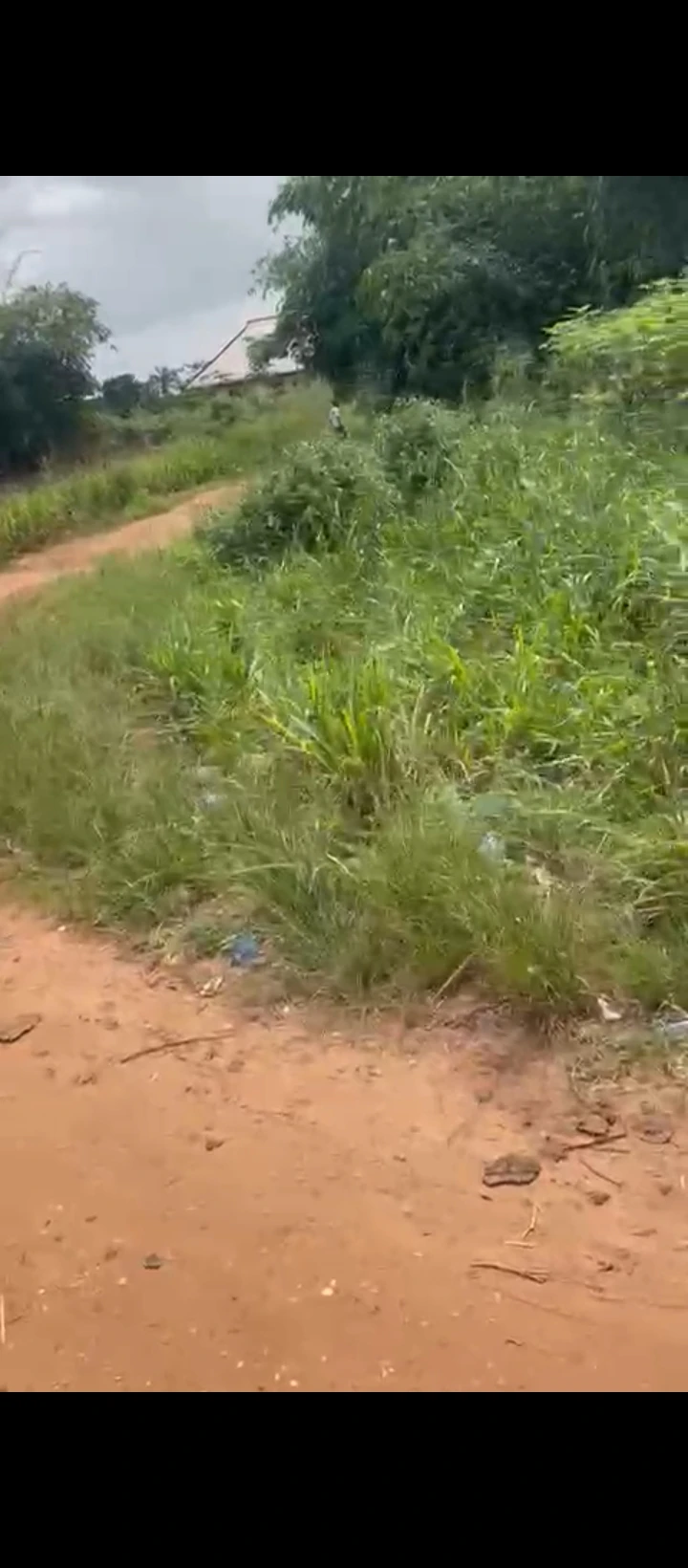 Land for Sale in Rubber research sapele road, Edo - Image 5