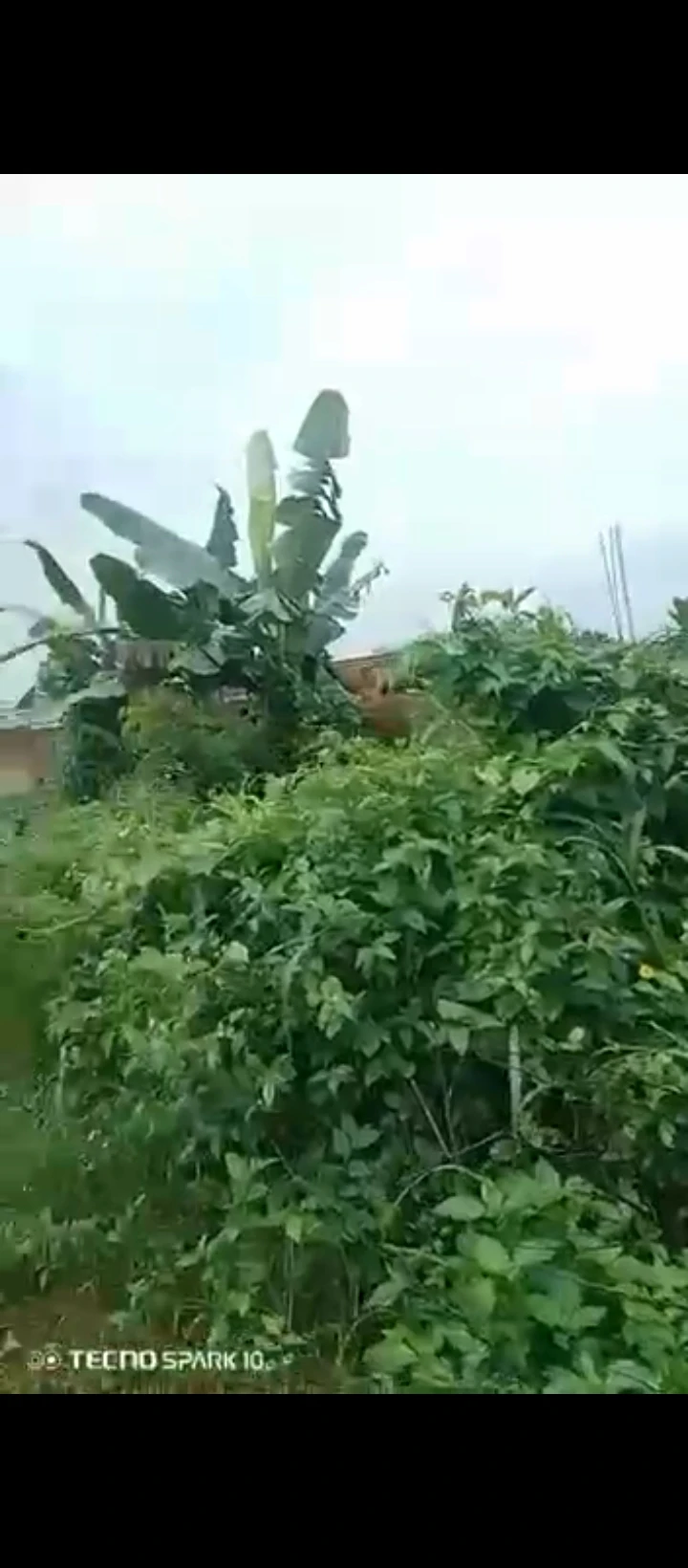 Land for Sale in Airport road, Edo - Image 6