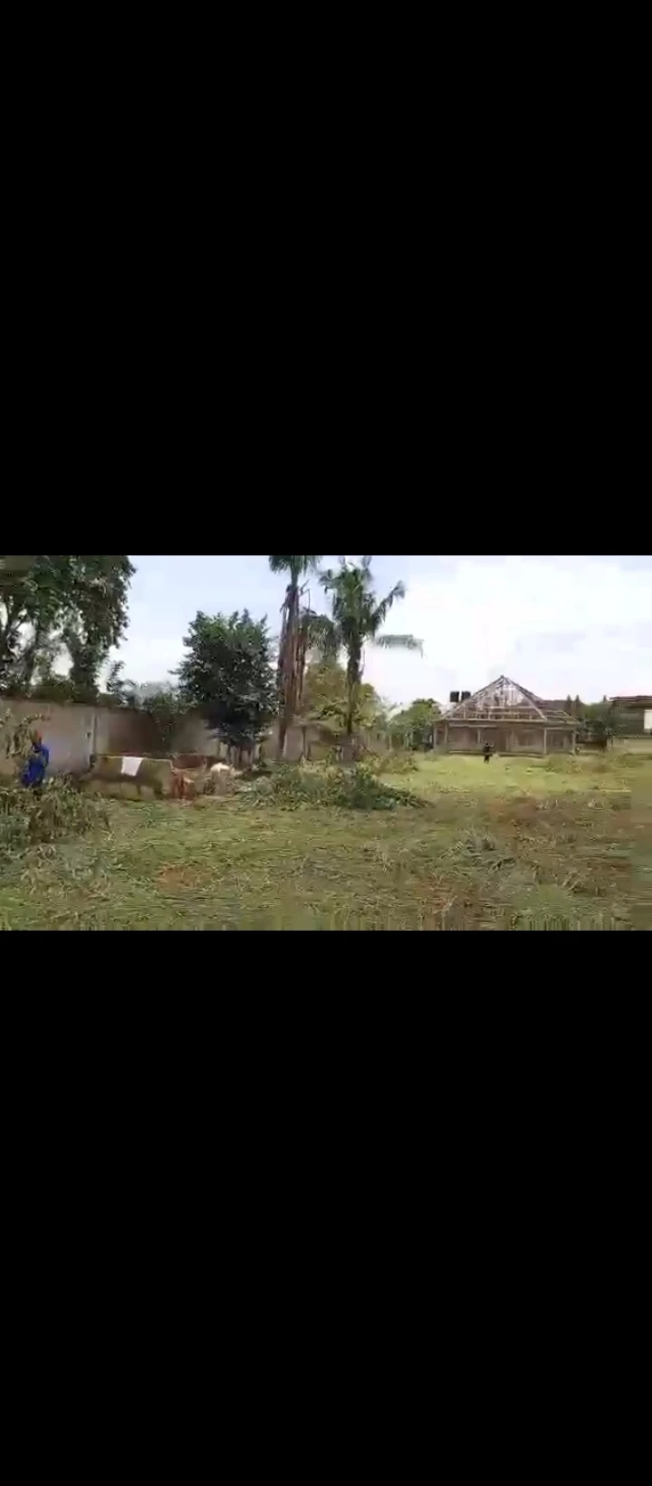 Land for Sale in Sapele road, Edo - Image 3