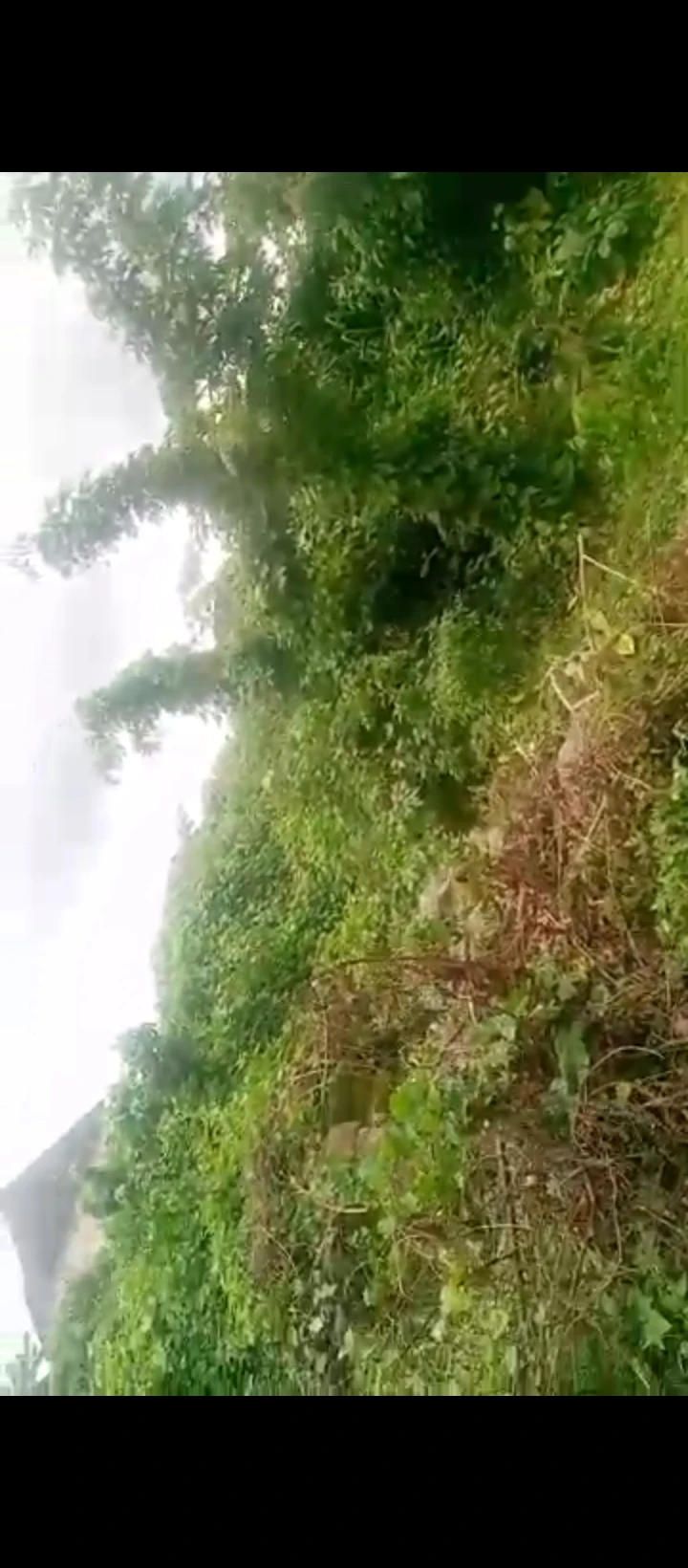 Land for Sale in Oluku, Edo - Image 5