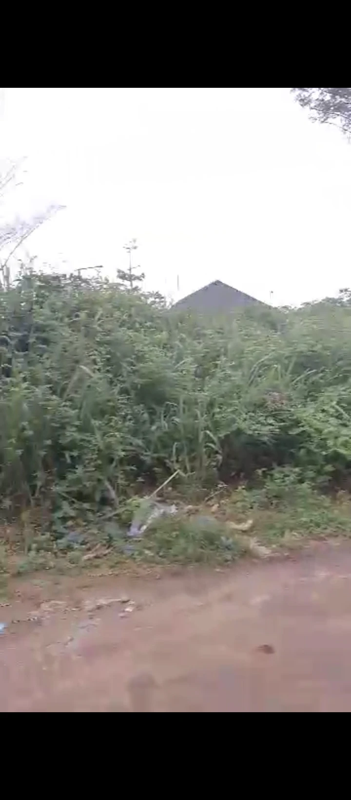 Land for Sale in Arougba airport road, Edo - Image 4
