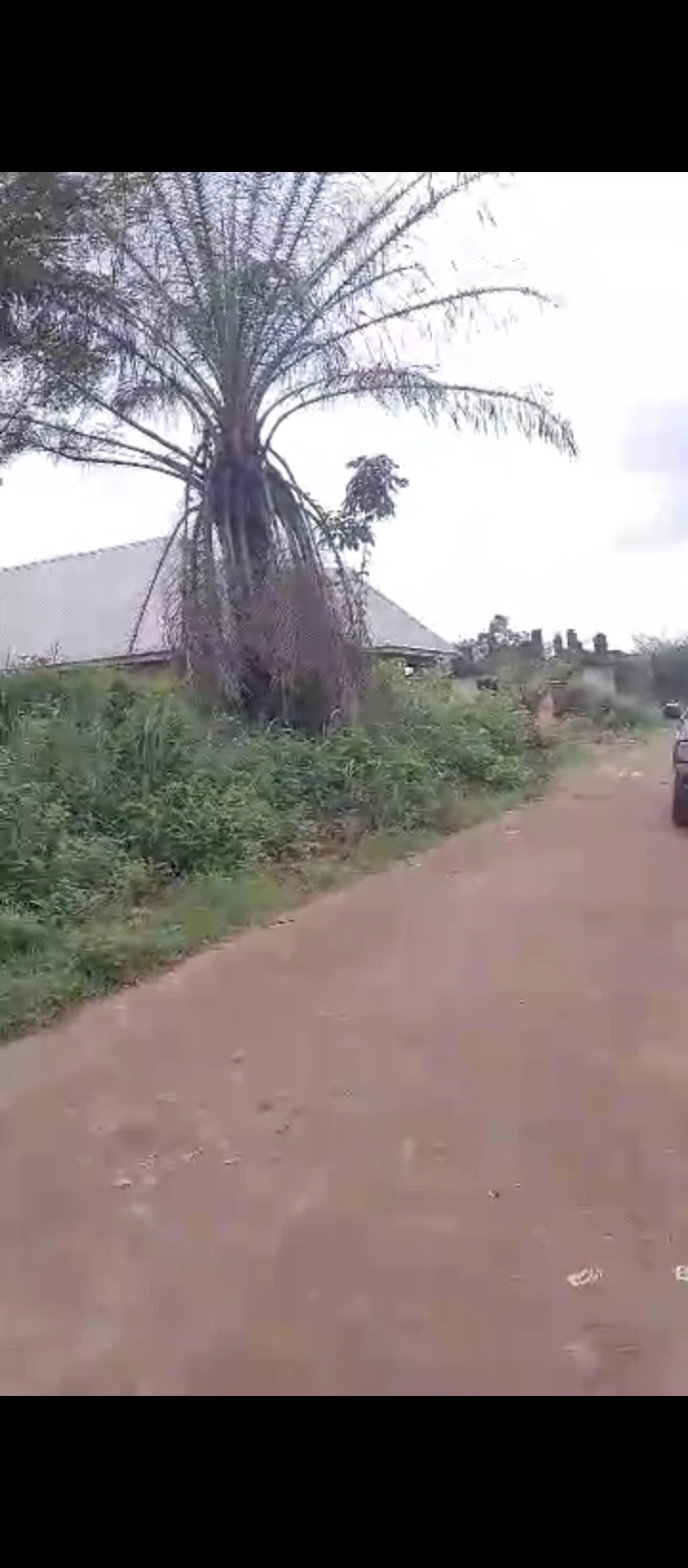Land for Sale in Arougba airport road, Edo - Image 5