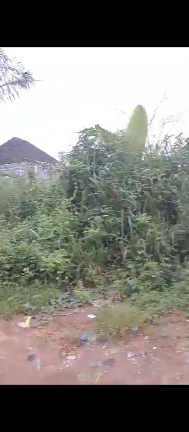 Land for Sale in Arougba airport road, Edo - Image 2