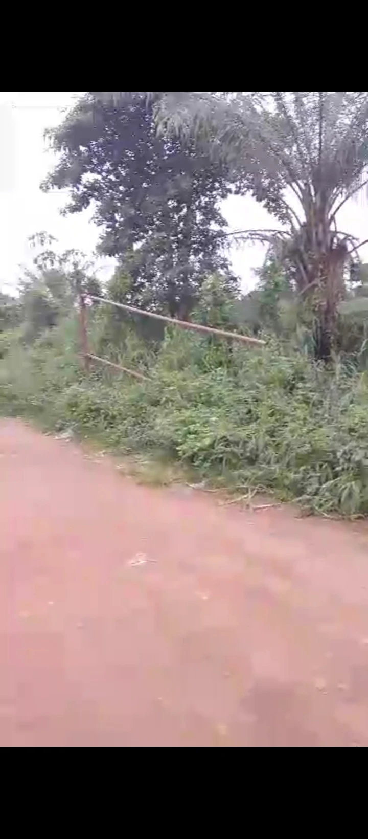 Land for Sale in Arougba airport road, Edo - Image 6