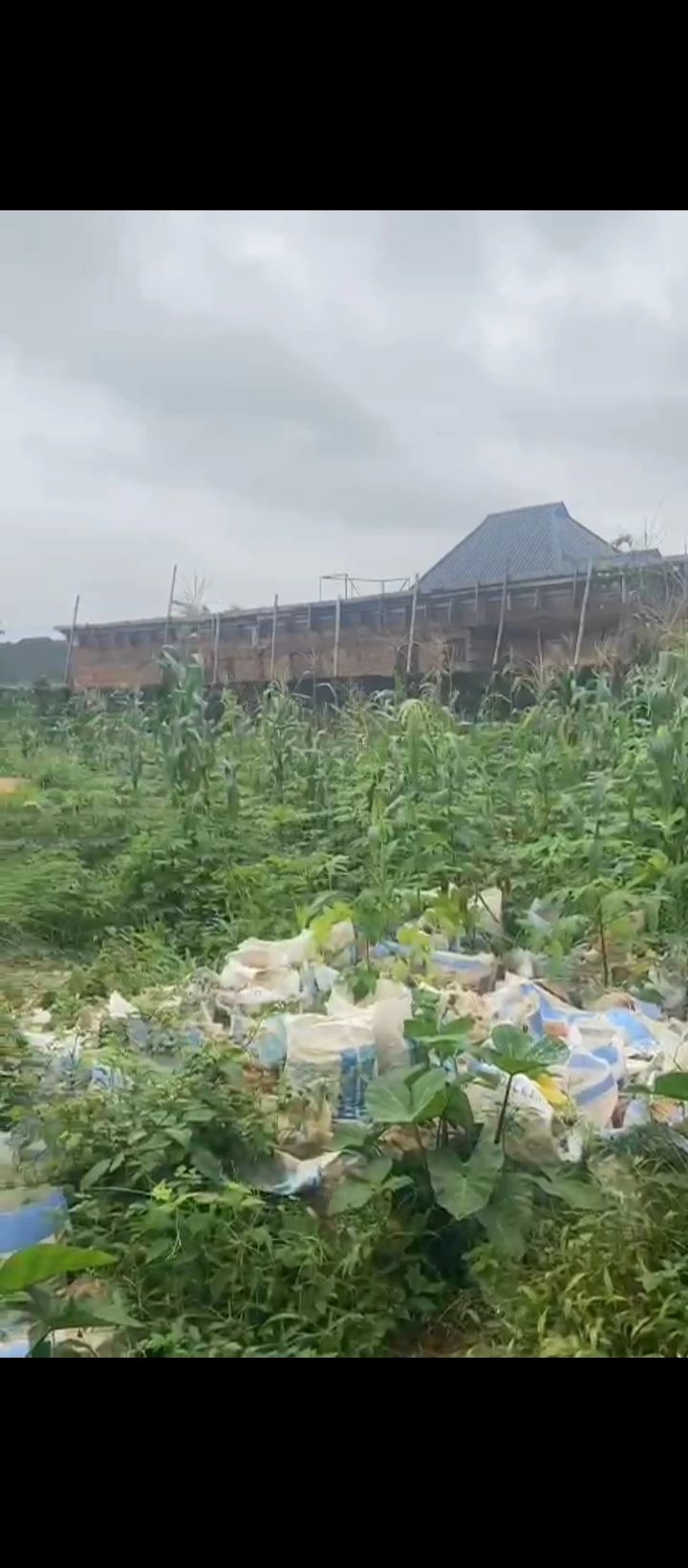 Land for Sale in Amagba, Edo - Image 5
