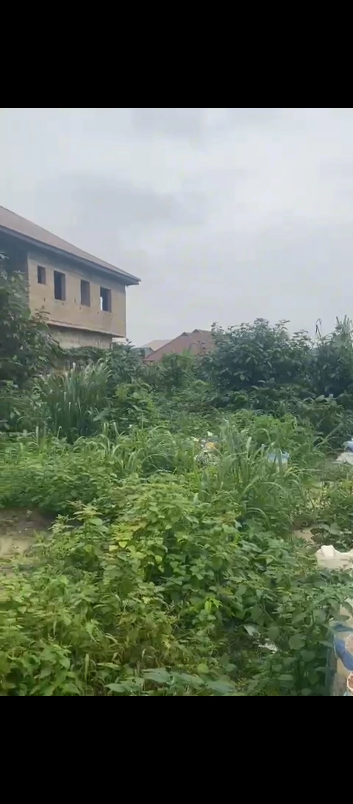 Land for Sale in Amagba, Edo - Image 2