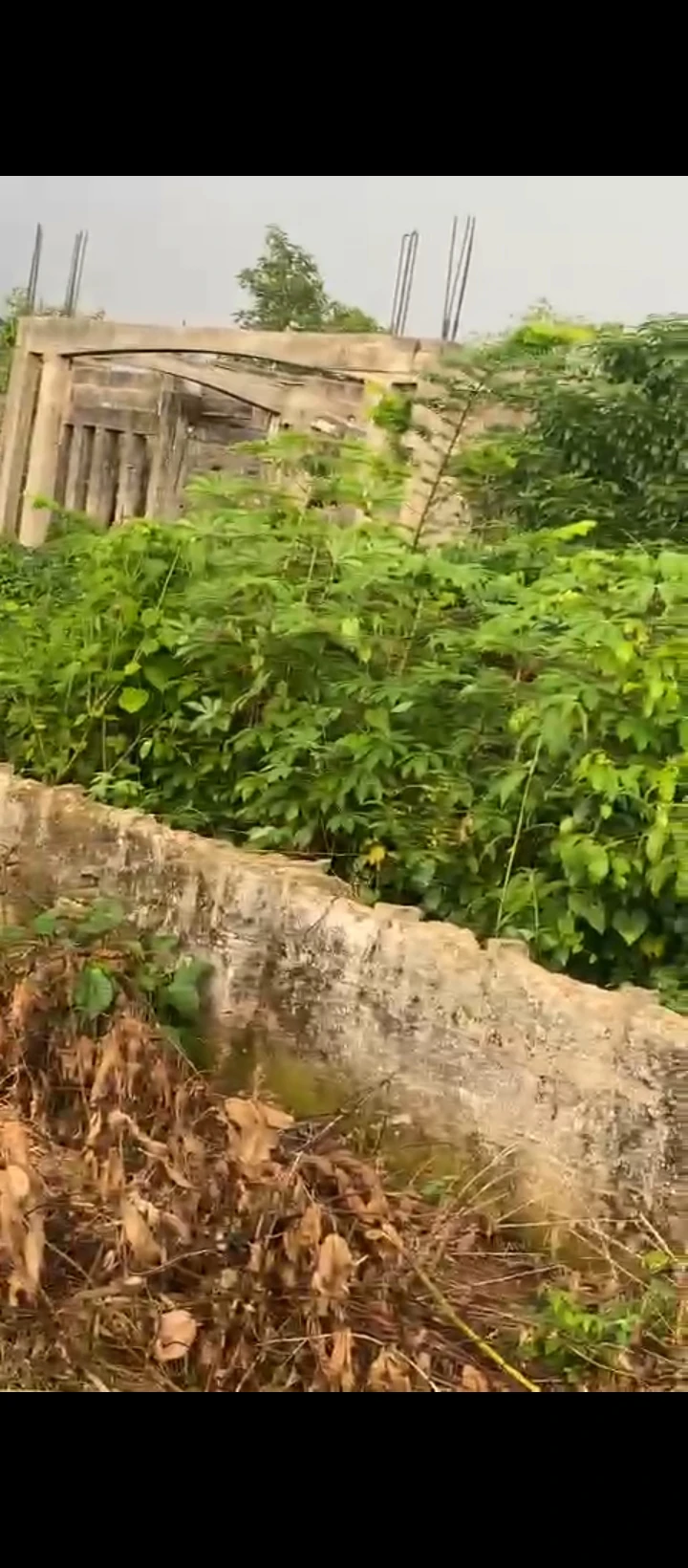 Land for Sale in Amagba, Edo - Image 1