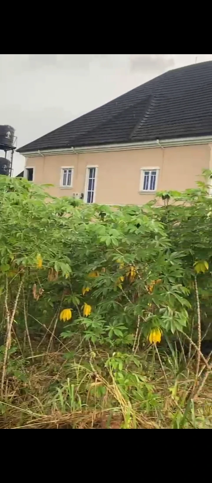 Land for Sale in Amagba, Edo - Image 4