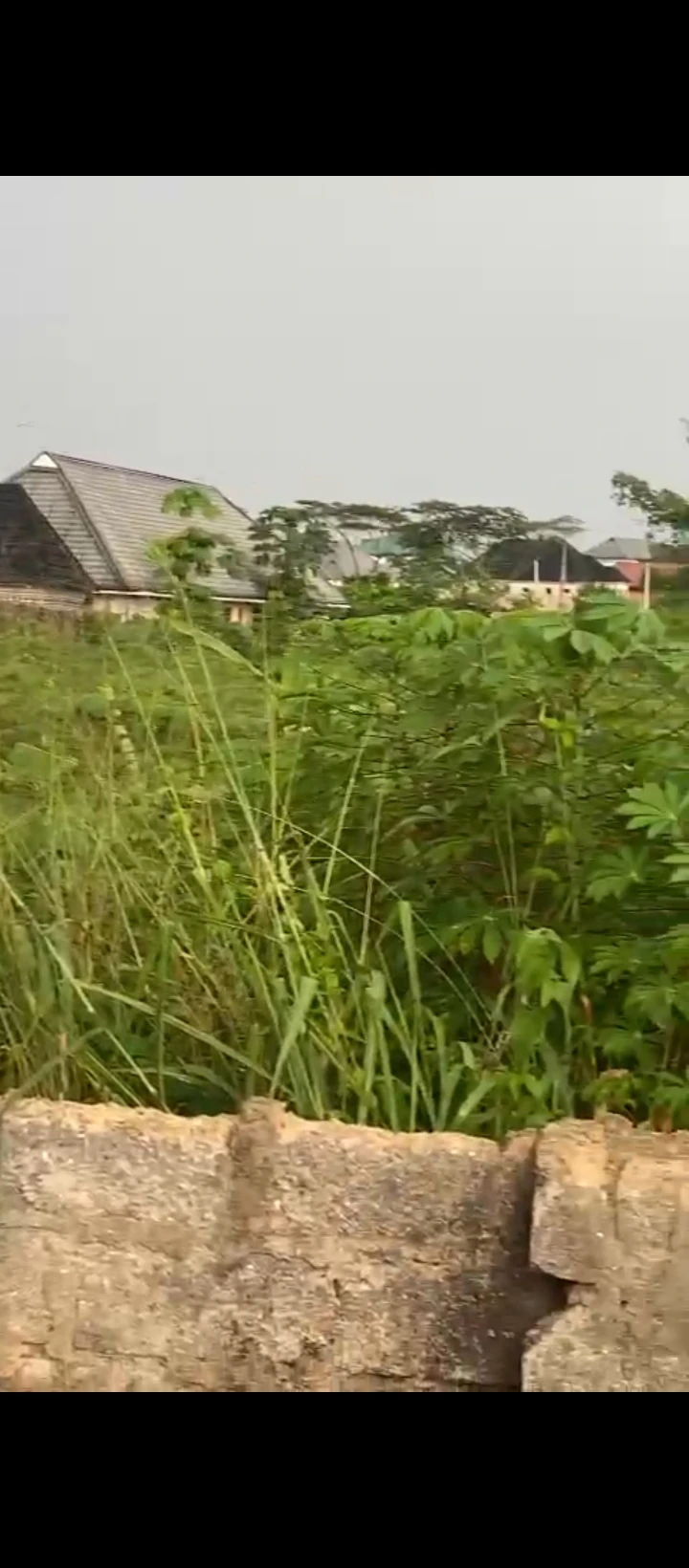 Land for Sale in Amagba, Edo - Image 6