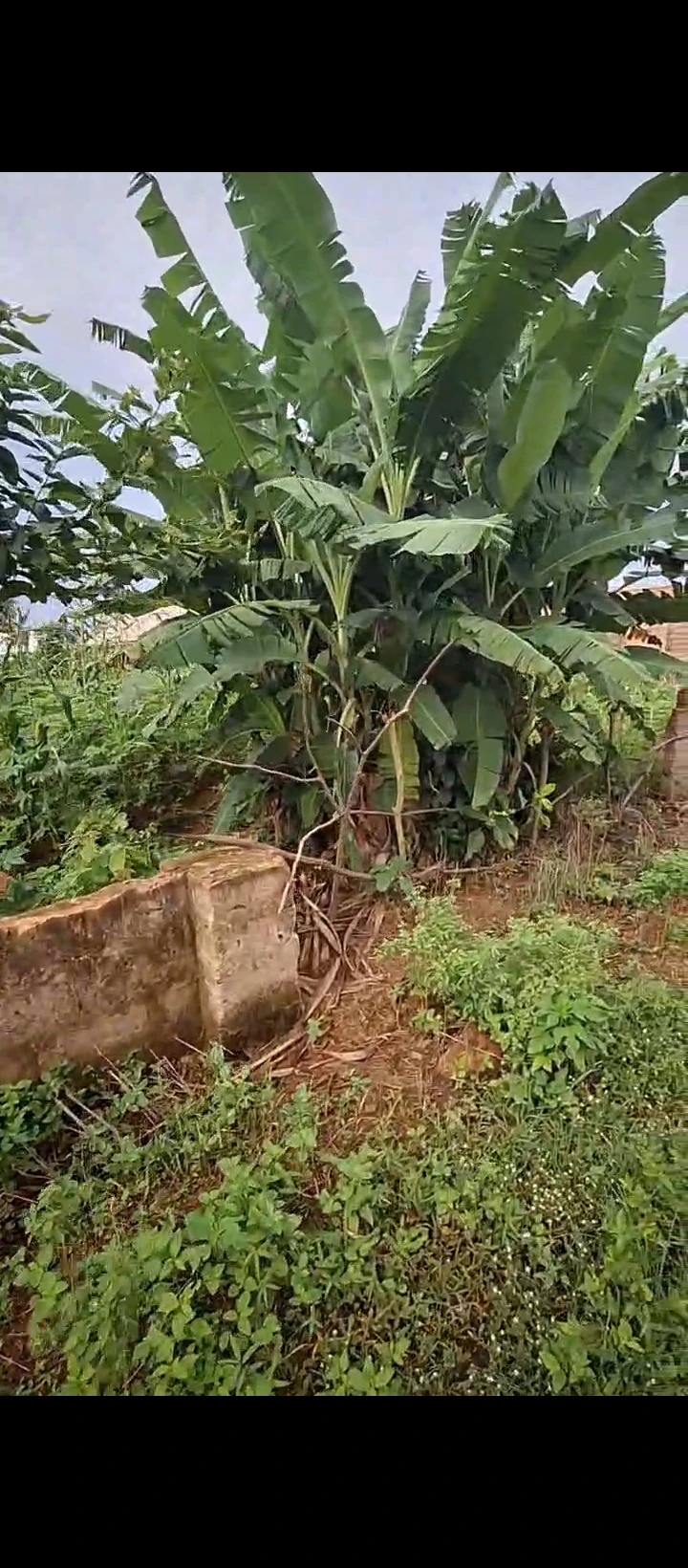 Land for Sale in Ahor, Edo - Image 6