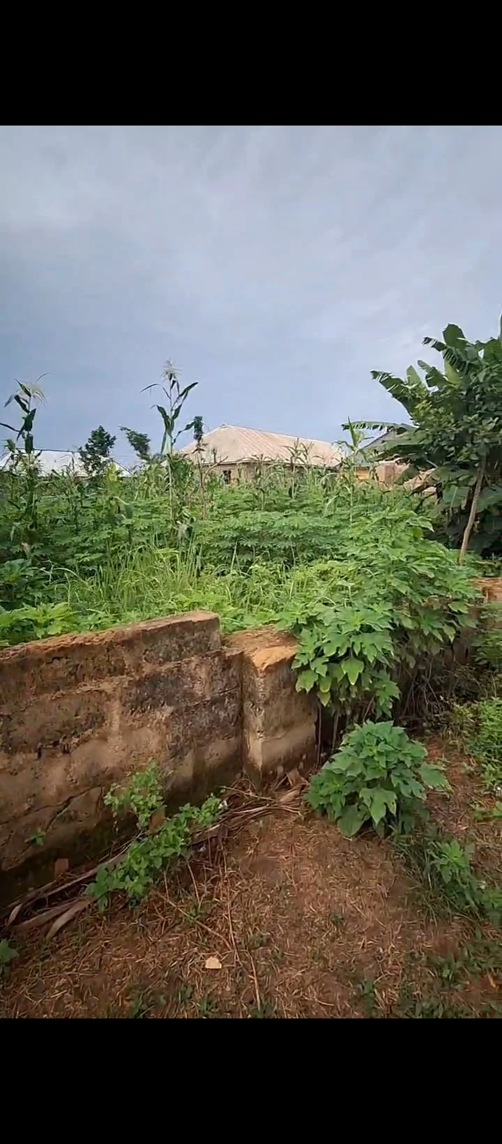 Land for Sale in Ahor, Edo - Image 5