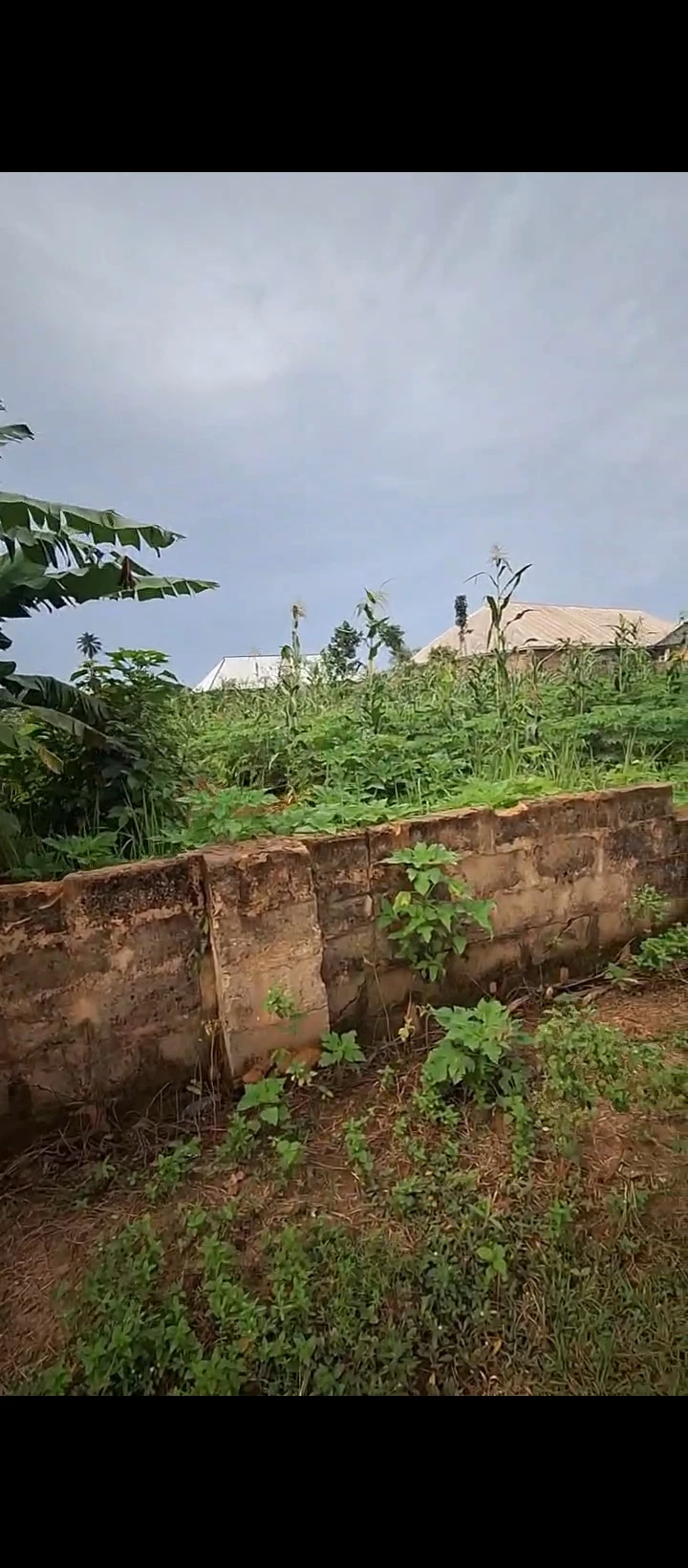 Land for Sale in Ahor, Edo - Image 4