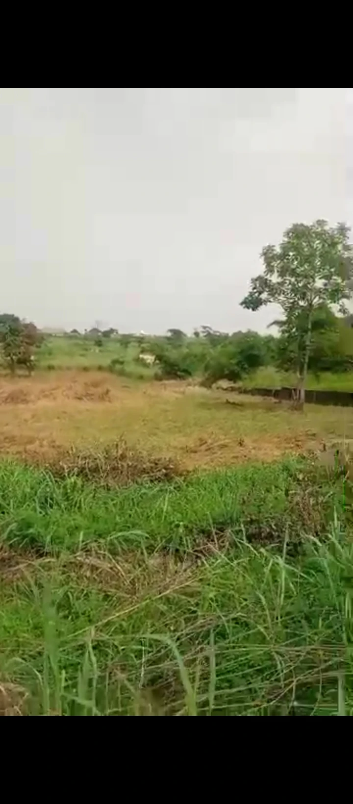 Land for Sale in Egba, Edo - Image 2