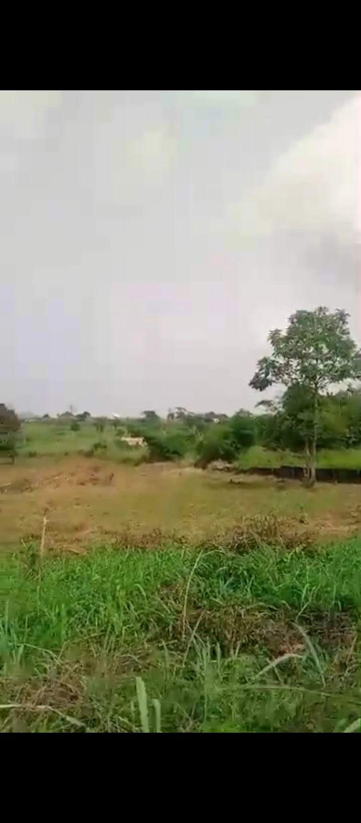Land for Sale in Egba, Edo - Image 6