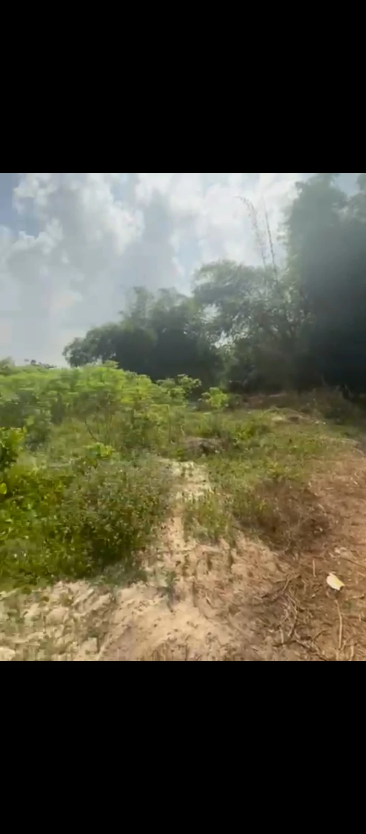 Land for Sale in Sapele road, Edo - Image 3