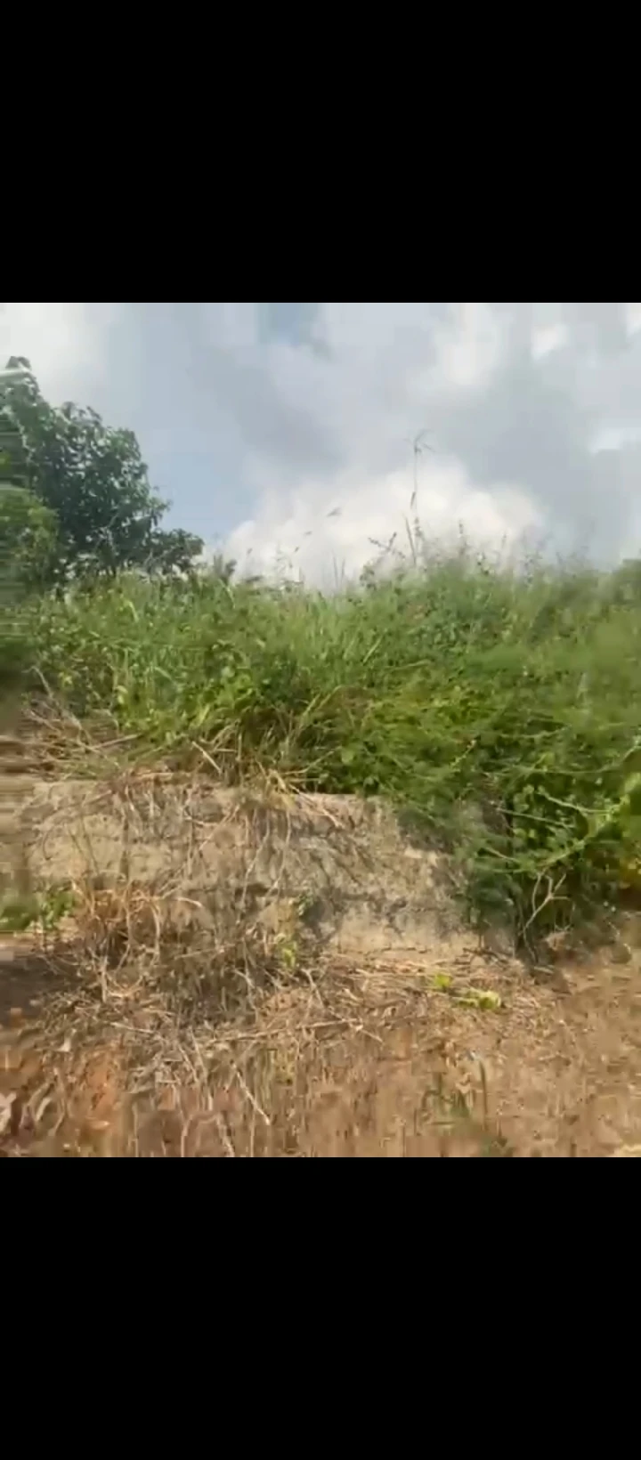 Land for Sale in Sapele road, Edo - Image 2