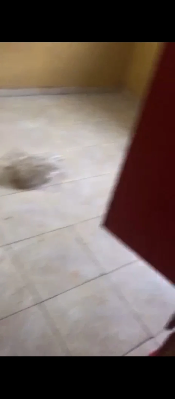 1 Bedroom Flat for Rent in Evidence, Edo - Image 4
