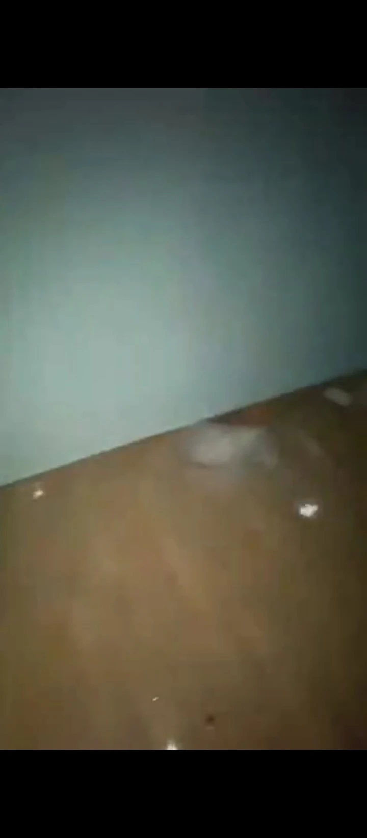 1 Bedroom Flat for Rent in Ekosoden, Edo - Image 4
