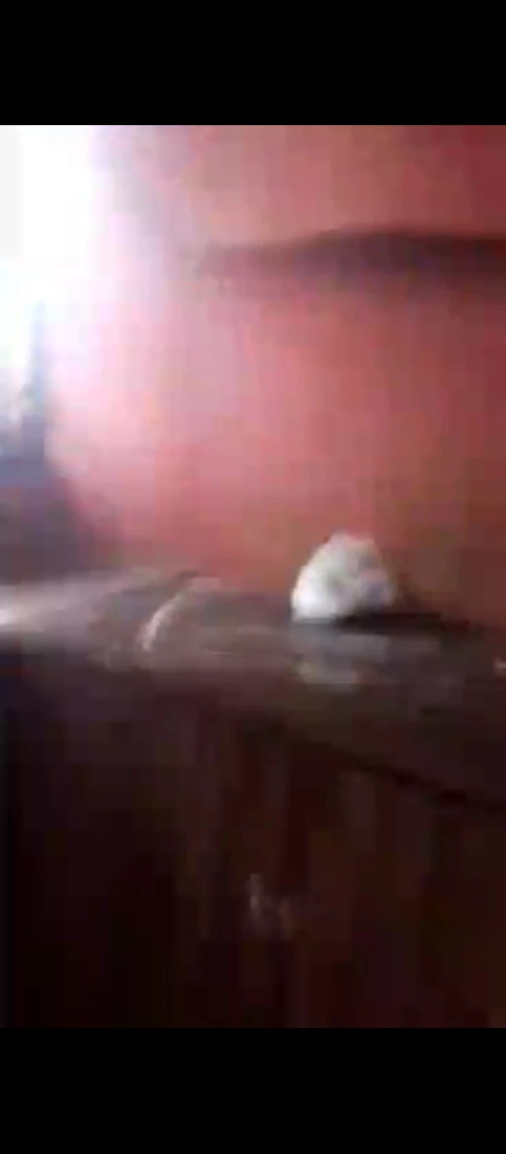 2 Bedroom Flat for Rent in BDPA ugbowo, Edo - Image 2