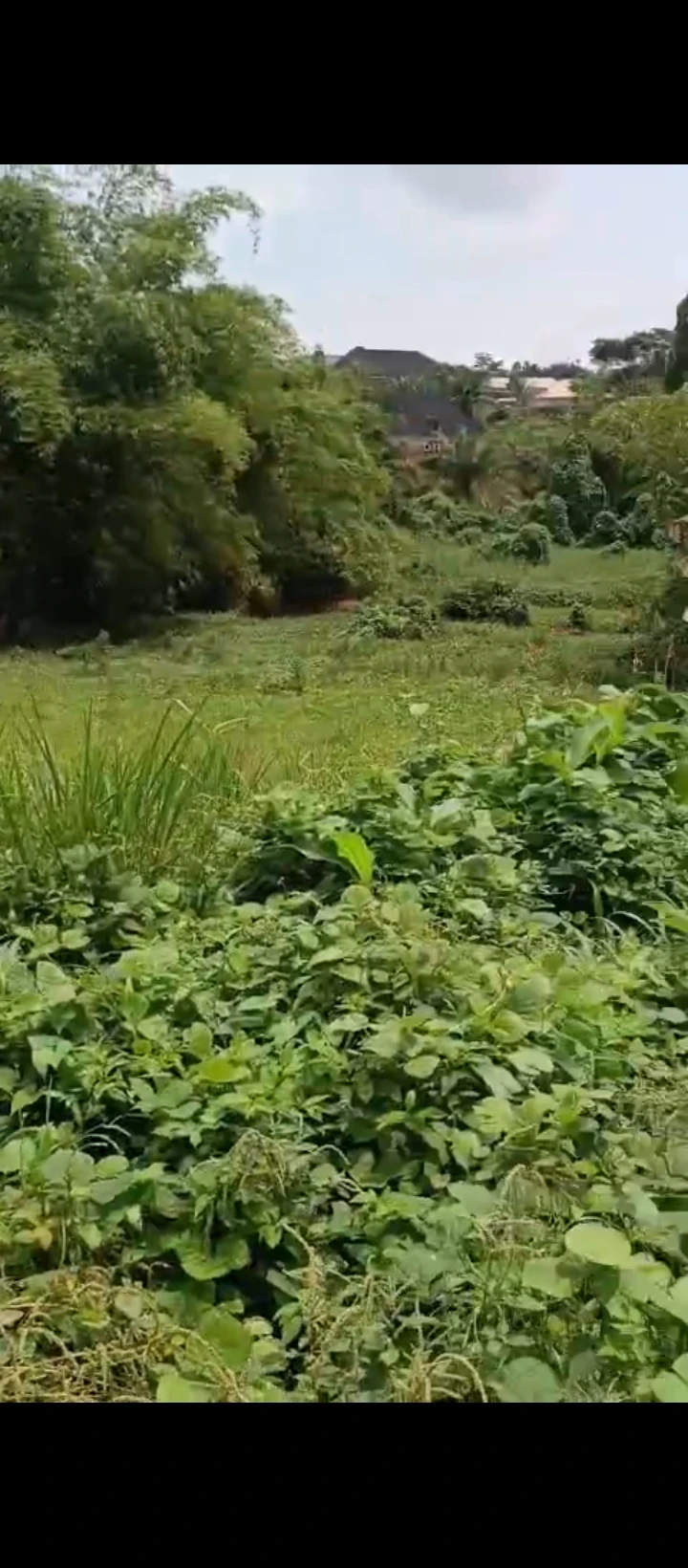 Land for Sale in Airport road, Edo - Image 6