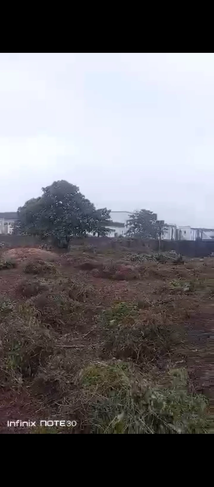 Land for Sale in Amagba, Edo - Image 5