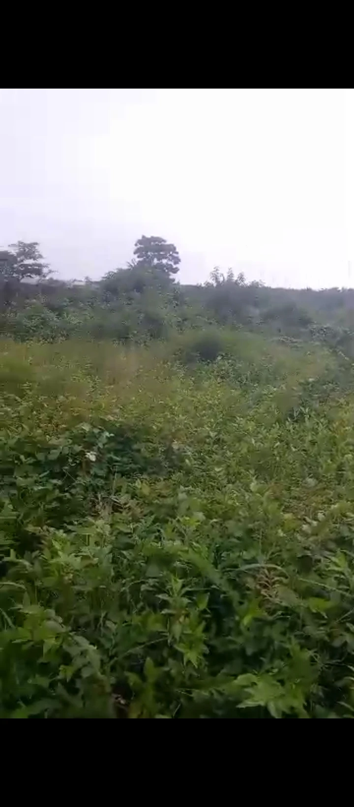 Land for Sale in Amagbe, Edo - Image 2