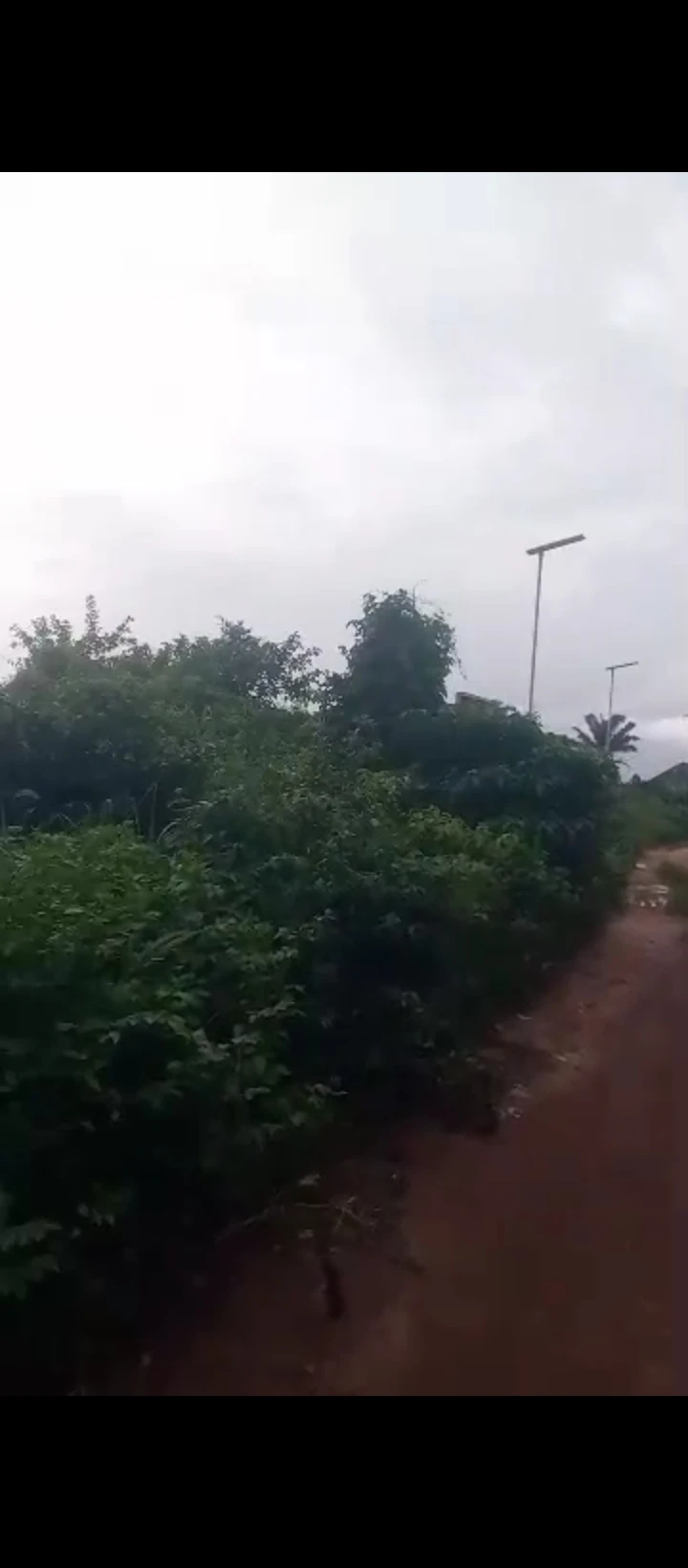 Land for Sale in Amagbe, Edo - Image 1