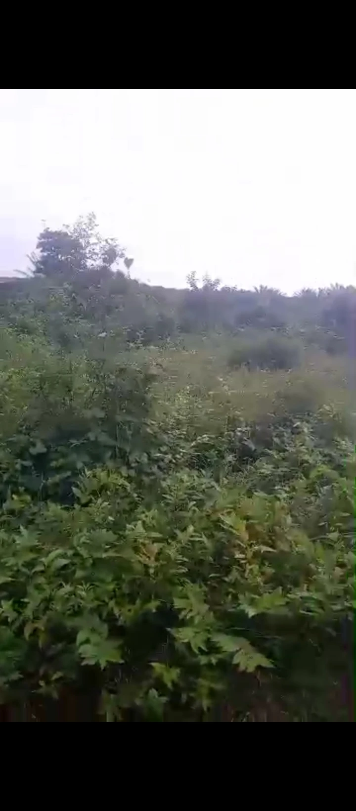 Land for Sale in Amagbe, Edo - Image 6