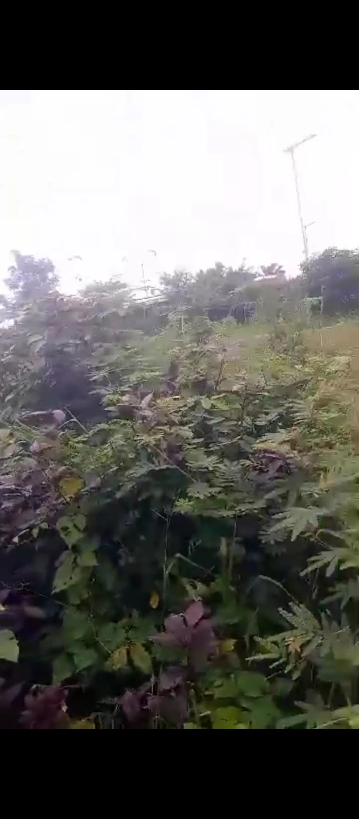 Land for Sale in Amagbe, Edo - Image 4