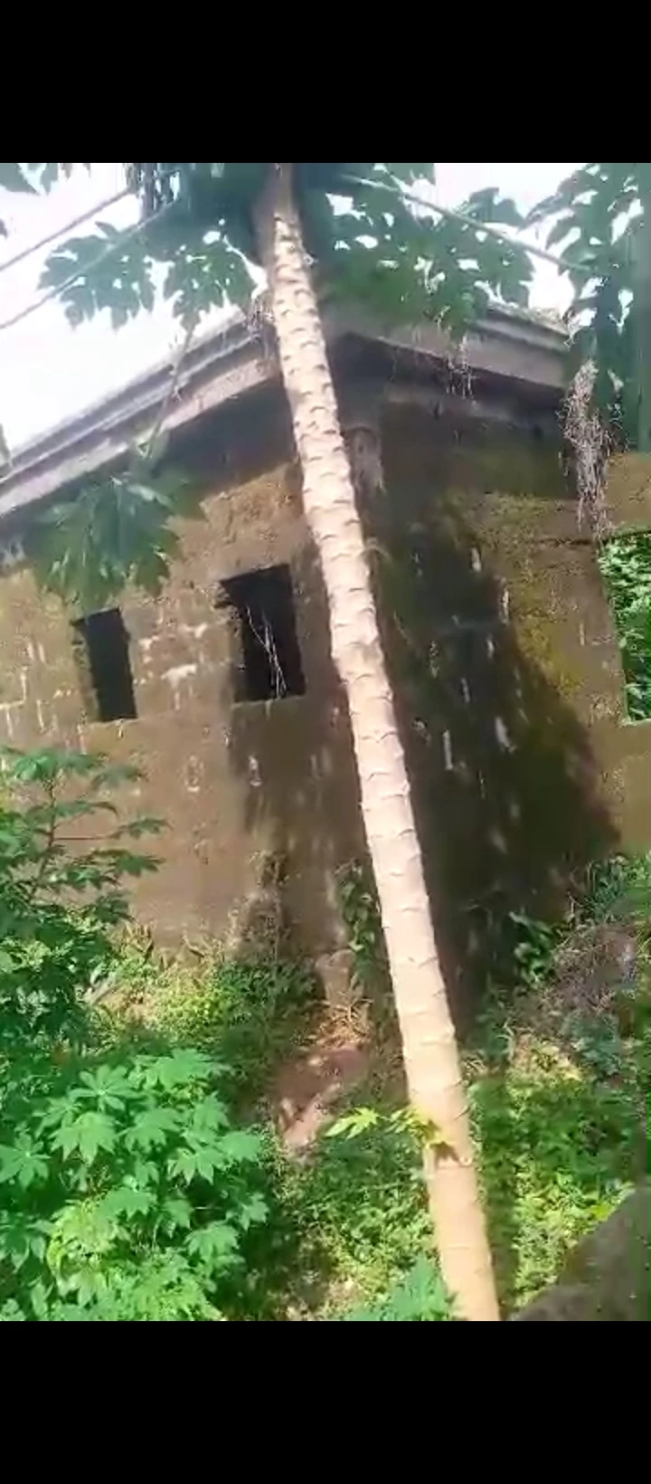 Uncompleted Building for Sale in Amagba, Edo - Image 4