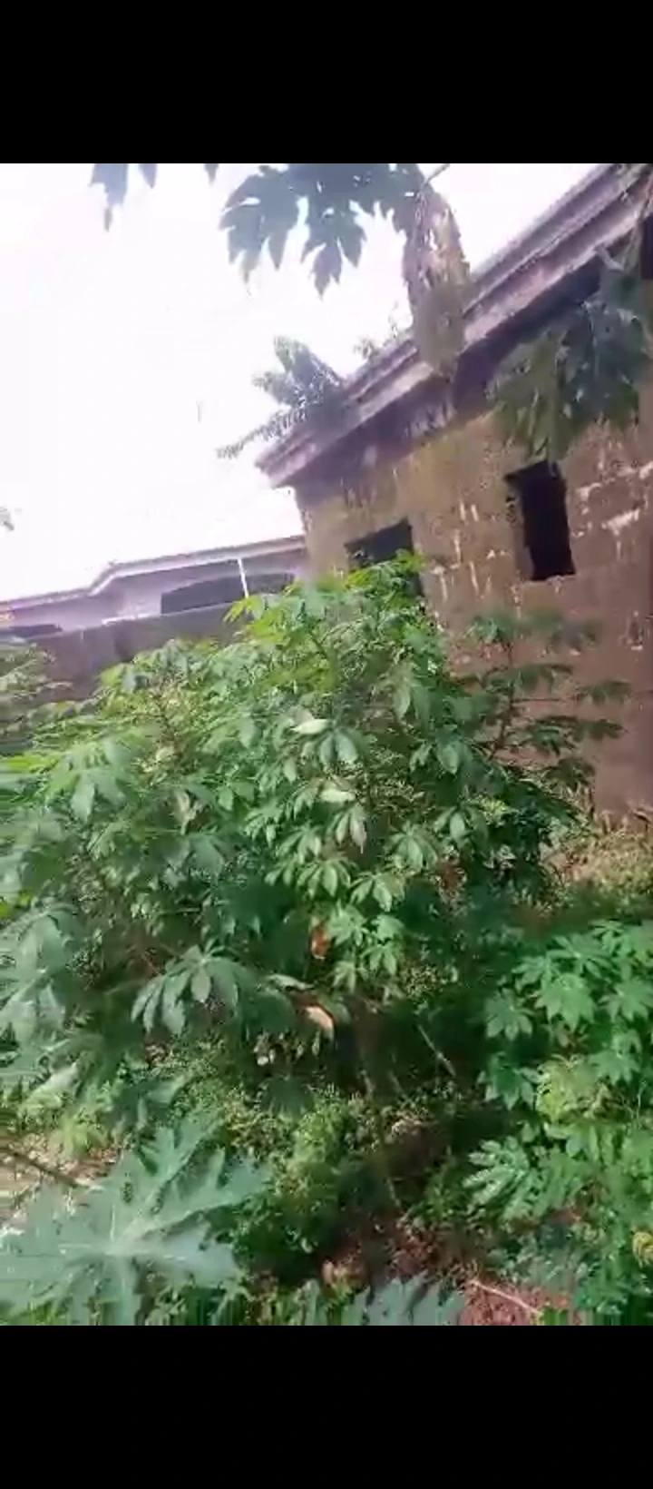 Uncompleted Building for Sale in Amagba, Edo - Image 3