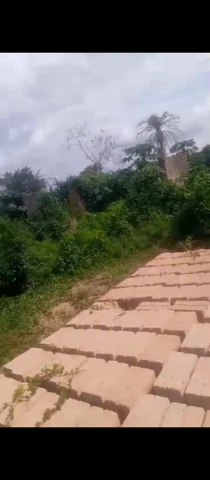Land for Sale in Evkhuku, Edo - Image 4