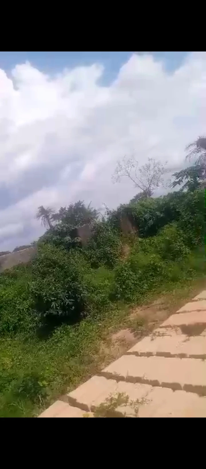 Land for Sale in Evkhuku, Edo - Image 5
