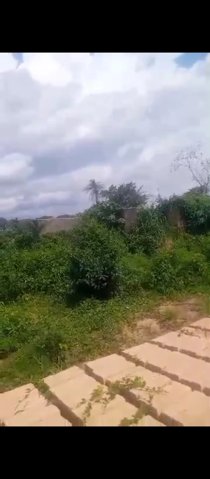 Land for Sale in Evkhuku, Edo - Image 3