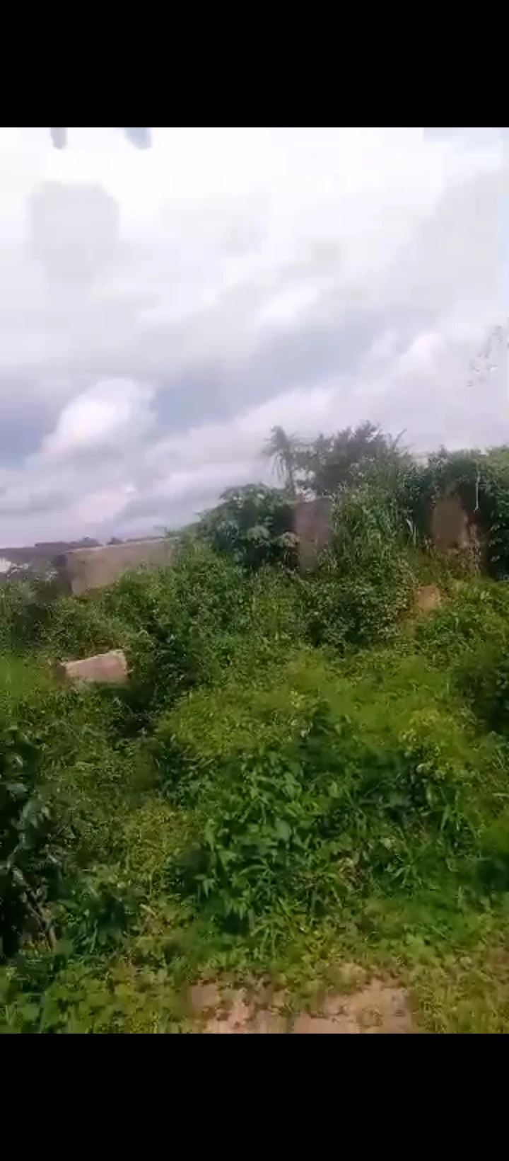 Land for Sale in Evkhuku, Edo - Image 1