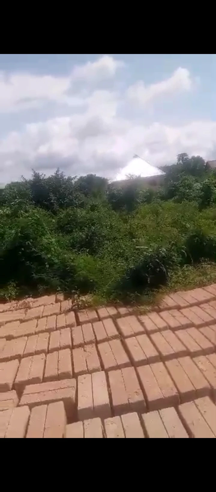 Land for Sale in Evkhuku, Edo - Image 2
