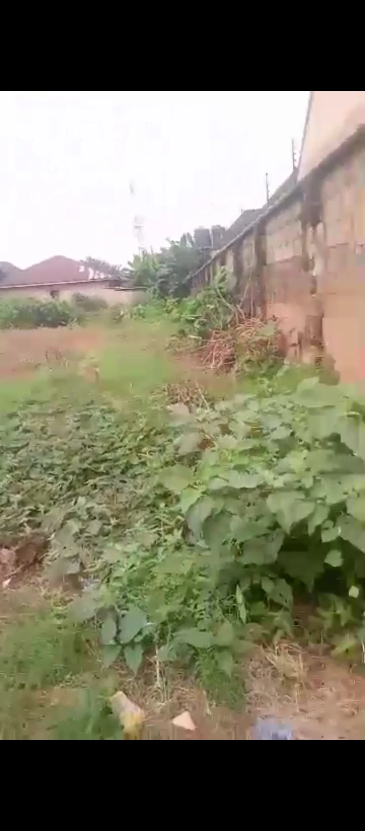 Land for Sale in Ugbor, Edo - Image 3