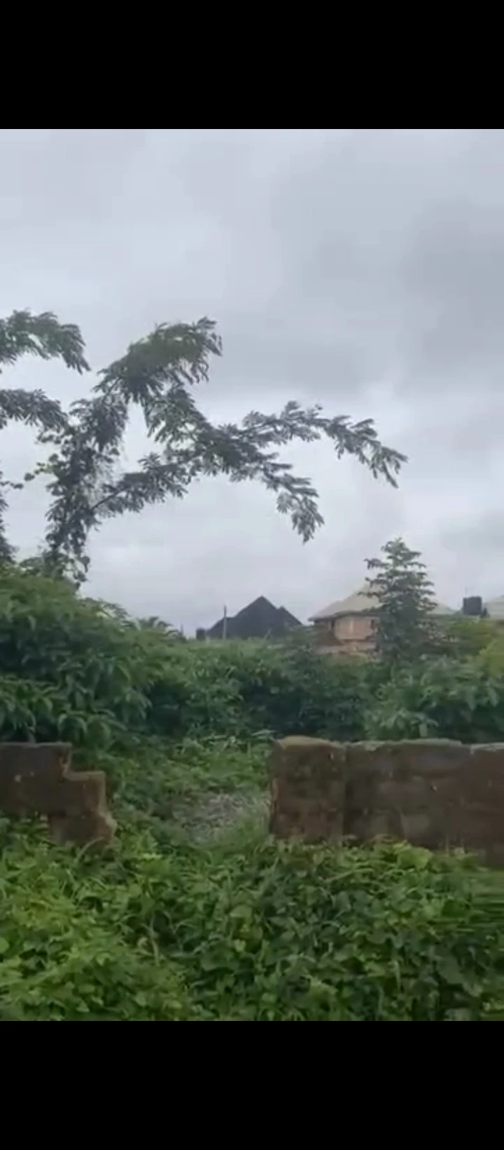 Land for Sale in Ogunwemnyi, Edo - Image 4